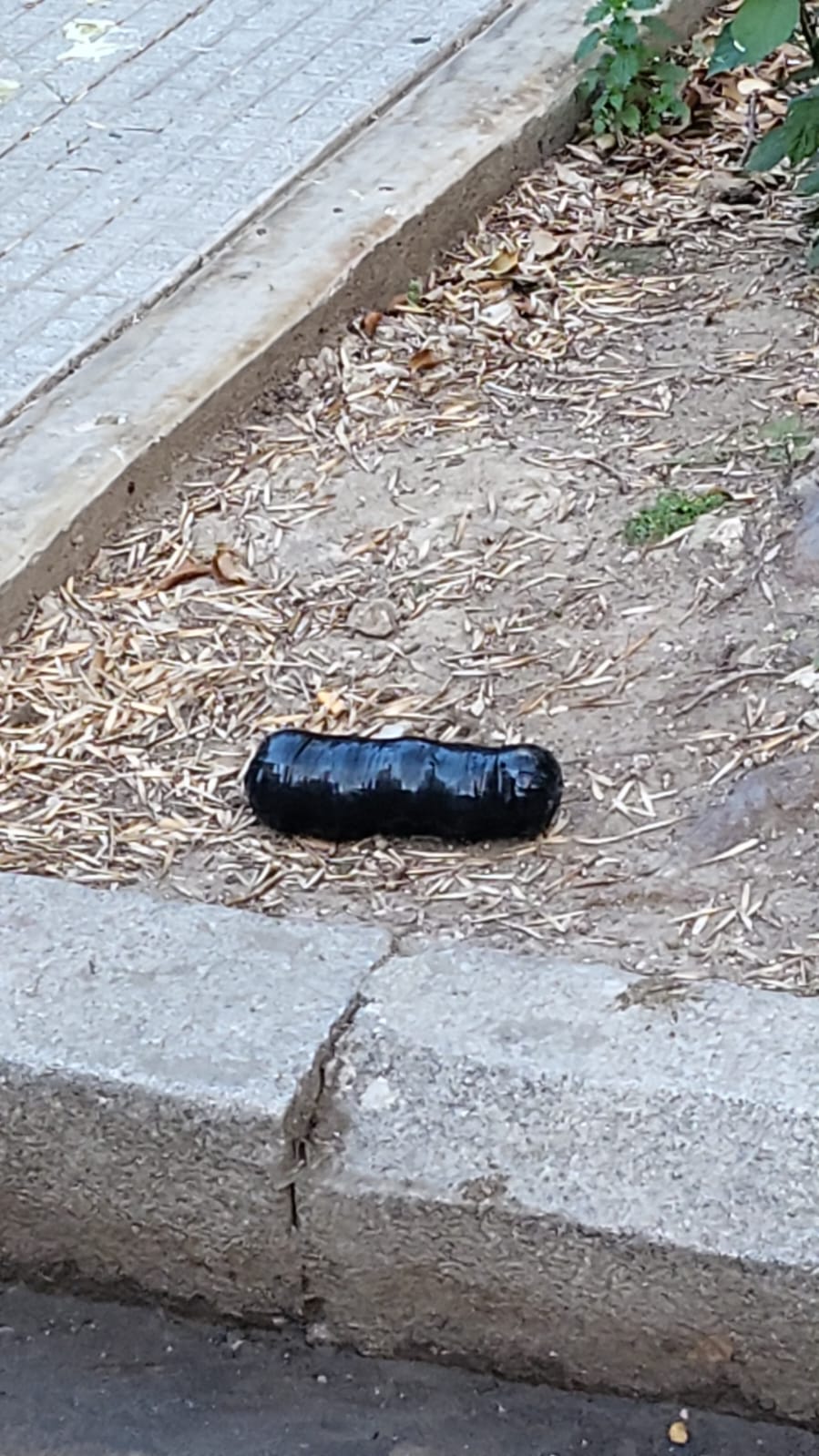 El paquete sospechoso frente a la casa del juez Gorini