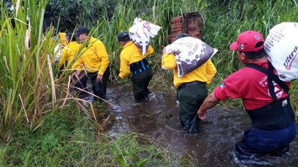 Elementos de Protección Civil ayudan a damnificados en algunas zonas de Chiapas. (Foto: Cuartoscuro)