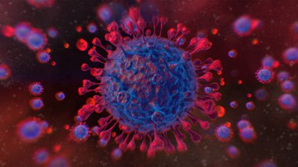 Ilustración del virus SARS-CoV-2, responsable de causar la enfermedad por COVID-19 (Foto: Shutterstock)