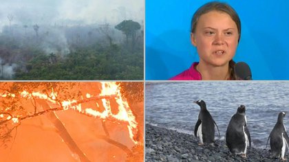 Incendios forestales gigantescos, huelgas escolares por el clima y turismo en la Antártida, postales de la actualidad medioambiental que preocupa (AFP)