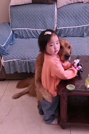Perro protege a una niña ante sus padres