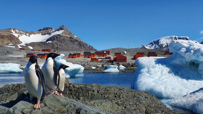 Postales de las bases antárticas que alojan a científicos e investigadores que realizan estudios de campo en el preciado ecosistema del Continente Blanco