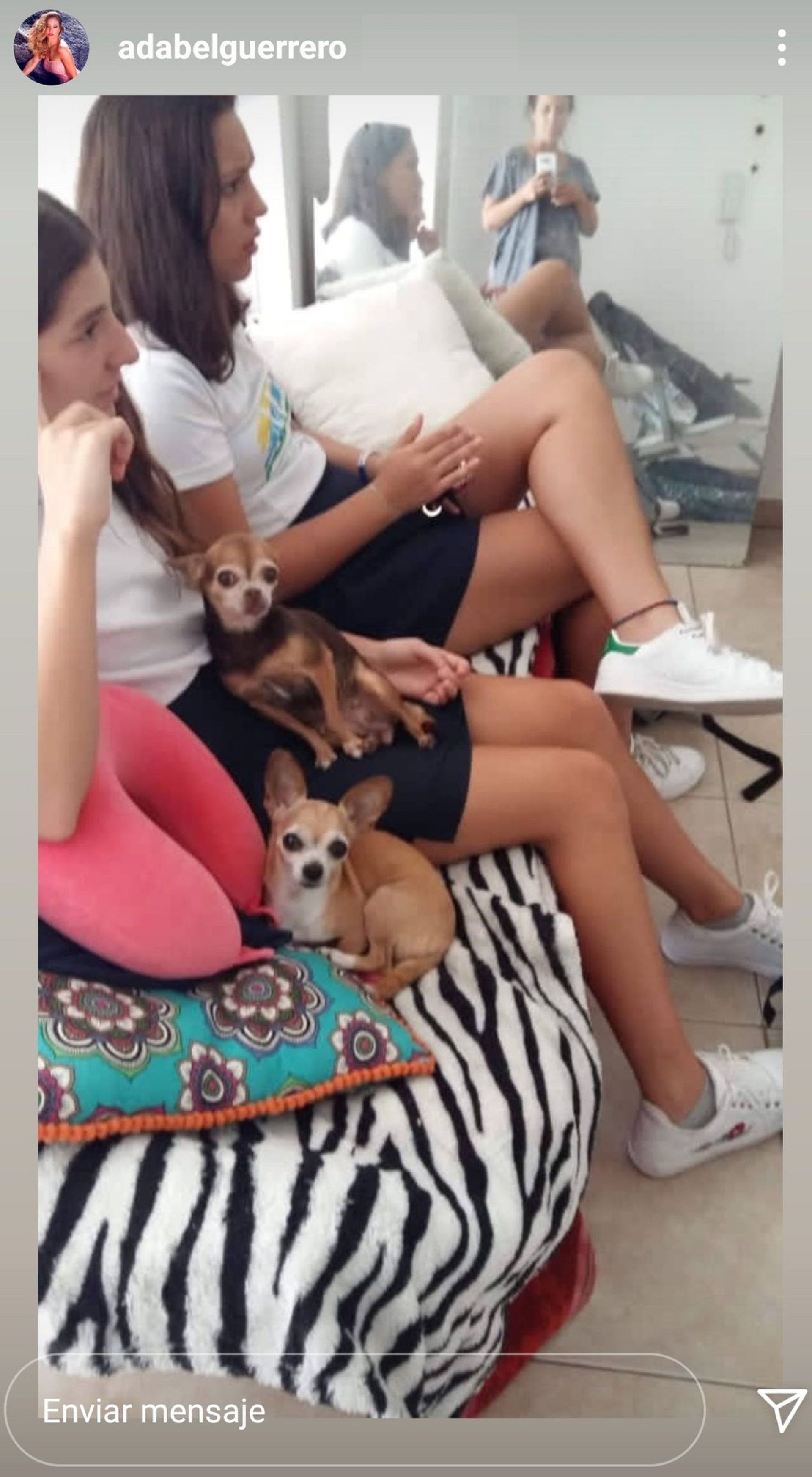 Las perritas que eran de Adabel Guerrero con su nueva familia