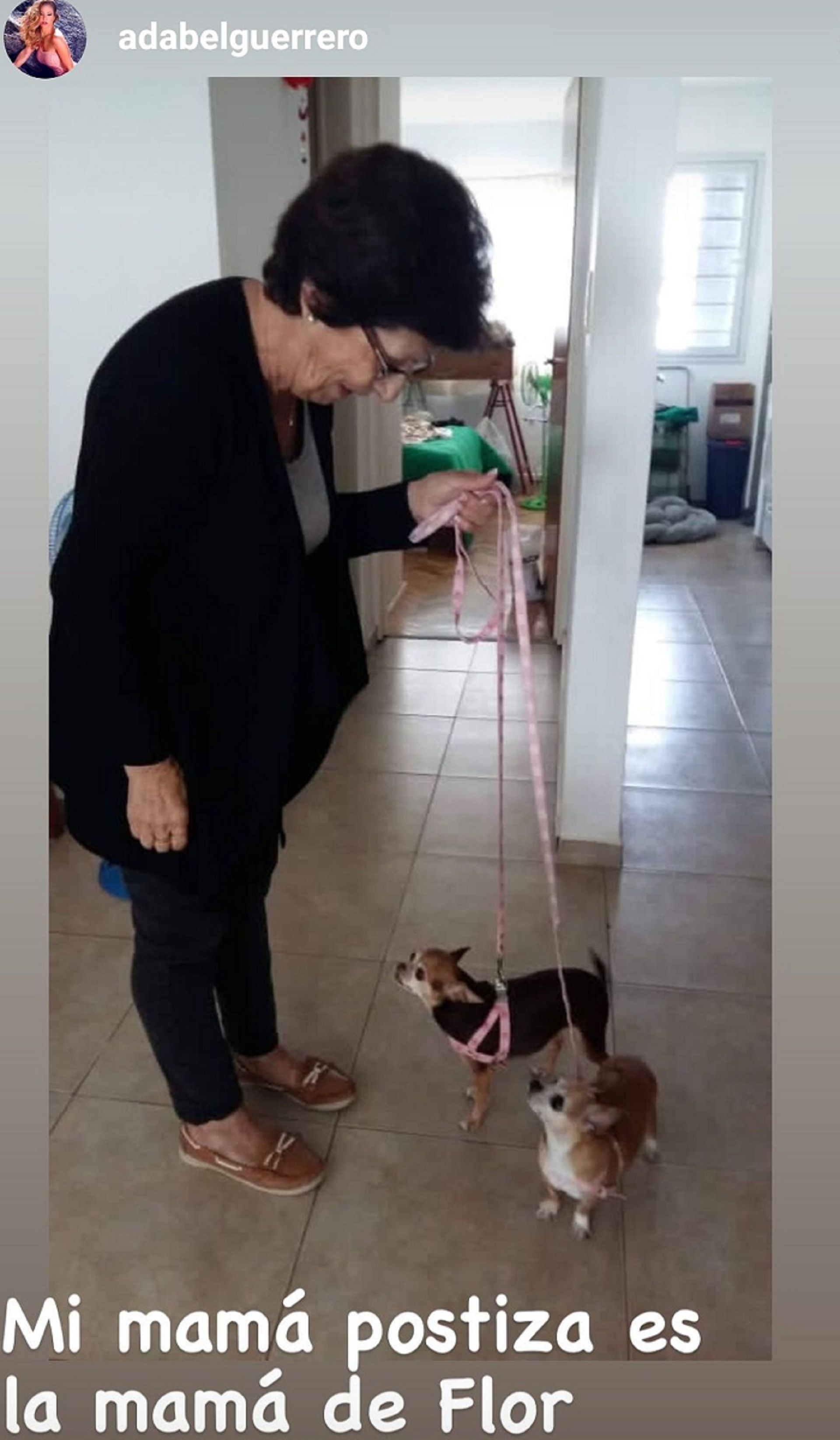 Las perritas que eran de Adabel Guerrero con su nueva familia