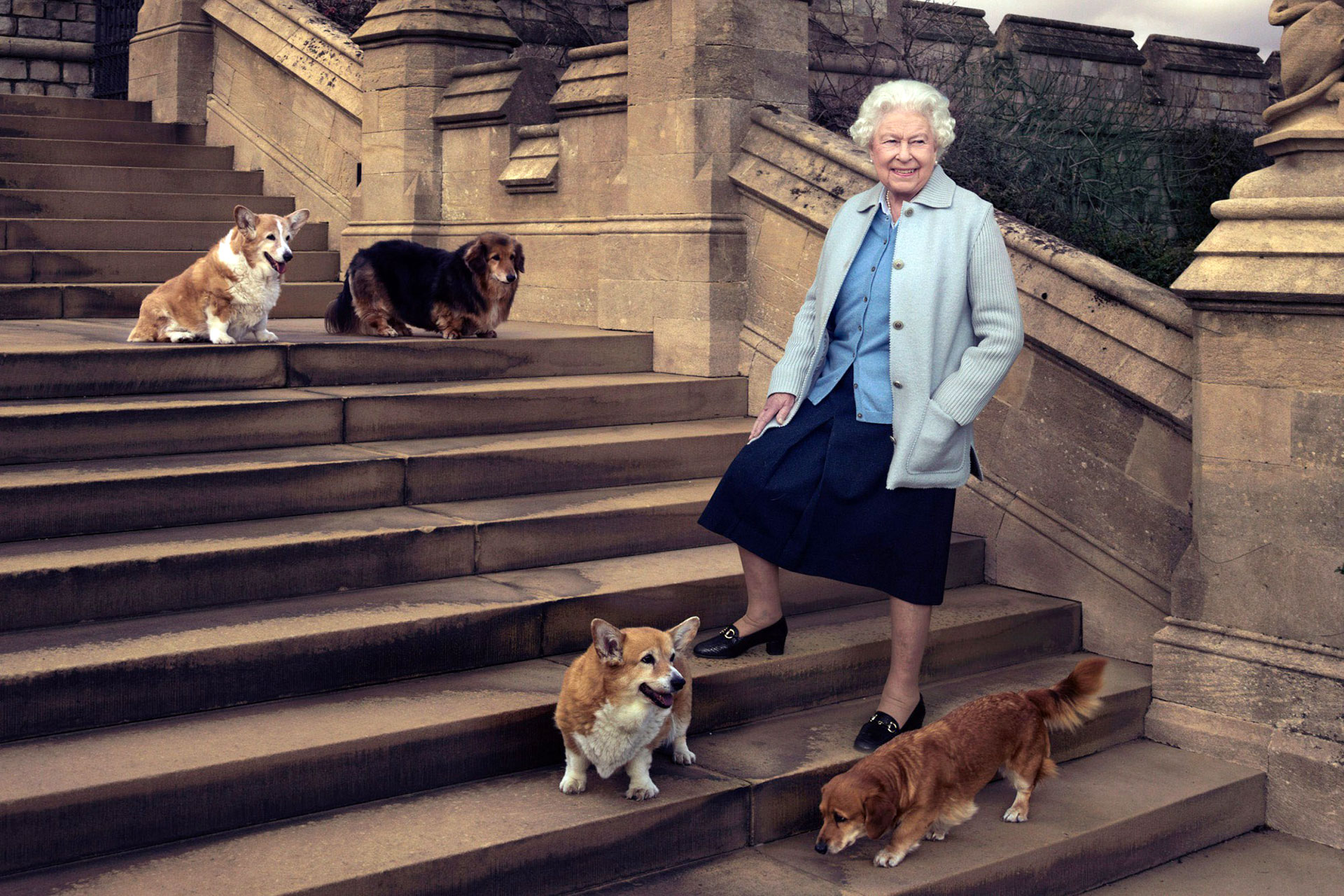 La reina Isabel era fanática de la raza de perros Corgi, los últimos que tuvo ya tienen nuevo dueño / 